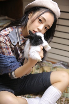 女汉子真爱公式票房